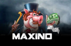 Maxino Casino